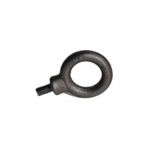 Metric Eyebolt M10 x 1.50